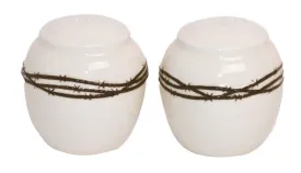 Barbed Wire Salt & Pepper Shakers