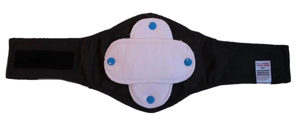 Black Diamond Male Dog Belly Band