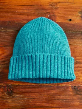 "King Jammy" Wool Beanie in Mint Love